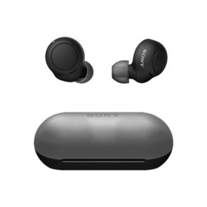 Sony WF-C500 Truly Wireless In-ear Headphones